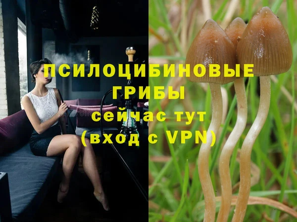 скорость Козельск