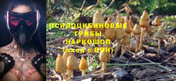 дживик Кодинск