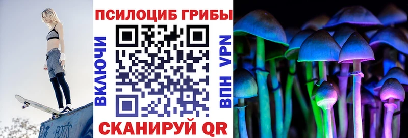Галлюциногенные грибы ЛСД Купить закладки Прокопьевск